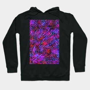 Splattering the Spiderweb Hoodie